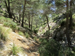 IMG_6698 (Medium)